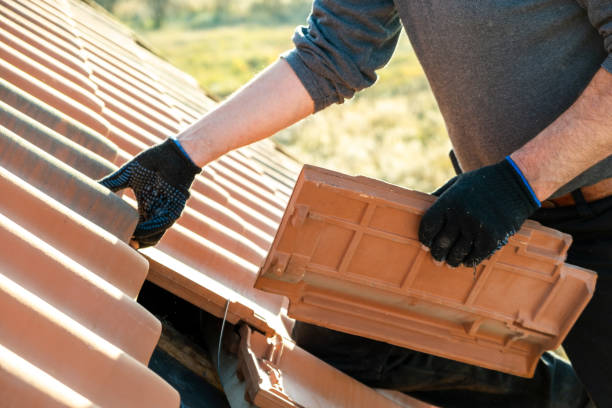 Above the Rest: Insights from Exceptional Roofing Contractors