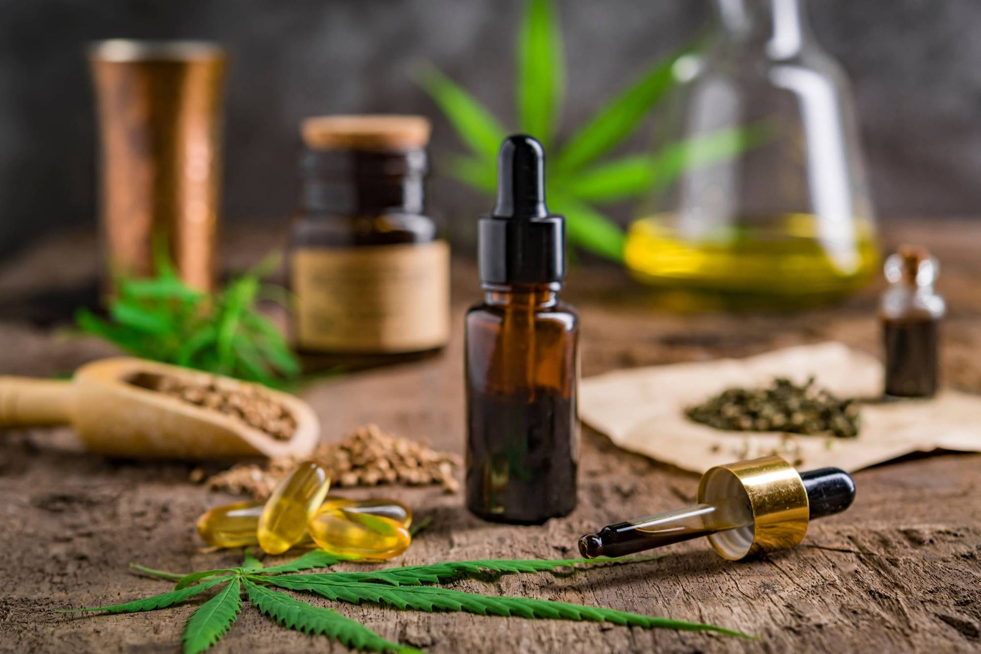 Why Choose CBD Oil for Your Dog’s Health?